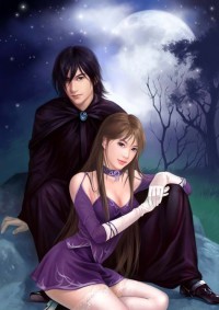 上门女婿岳风
