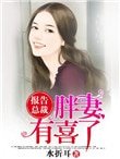 報告總裁,胖妻有喜了